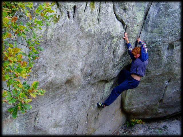 Foret de Fontainebleau: escalade sur les blocs